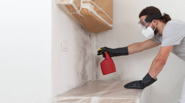 Professional Basement Mold Remediation technician working in Lawrence, MA
