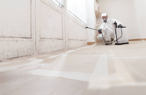 24/7 Emergency Basement Mold Remediation experts in Lawrence, MA